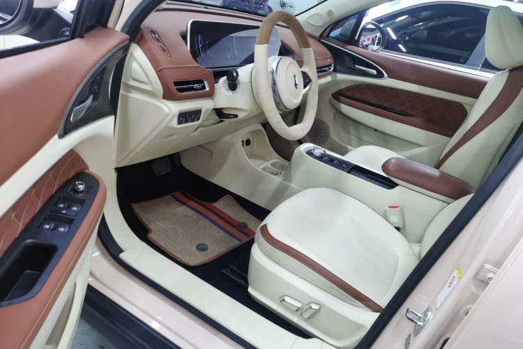 Used ORA Good Cat 2021 400km Standard Range Athena Edition Lithium-Ion Battery
