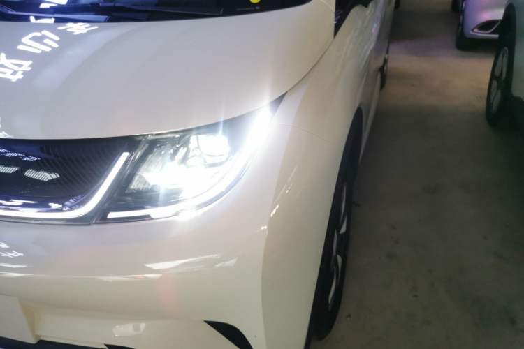 Used BYD Dolphin 2025 420km Free Edition
