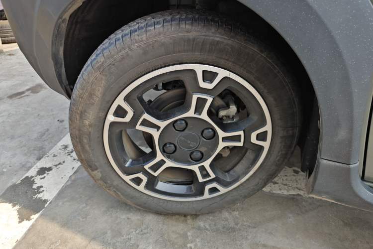 Used  Panda 2024 200km Panda Rider
