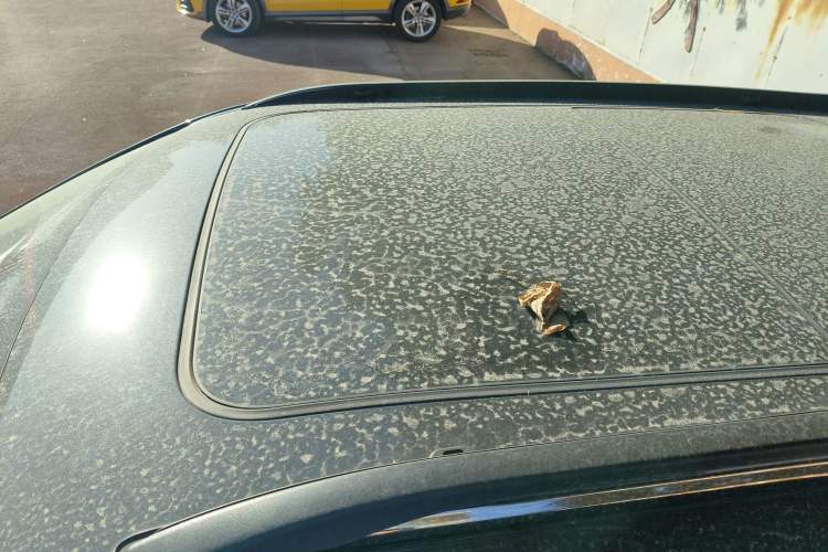 Used  Compass 2020 220T Automatic Leading Edition