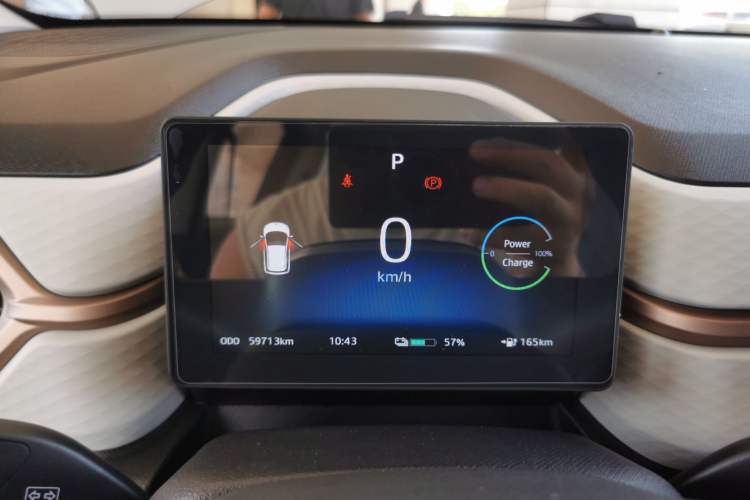 Used SOL E10X 2022 Flower Fairy Design Four-Leaf Clover
