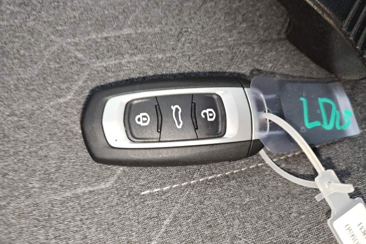 Used  Panda 2024 Panda Mini 200km Endurance Bear
