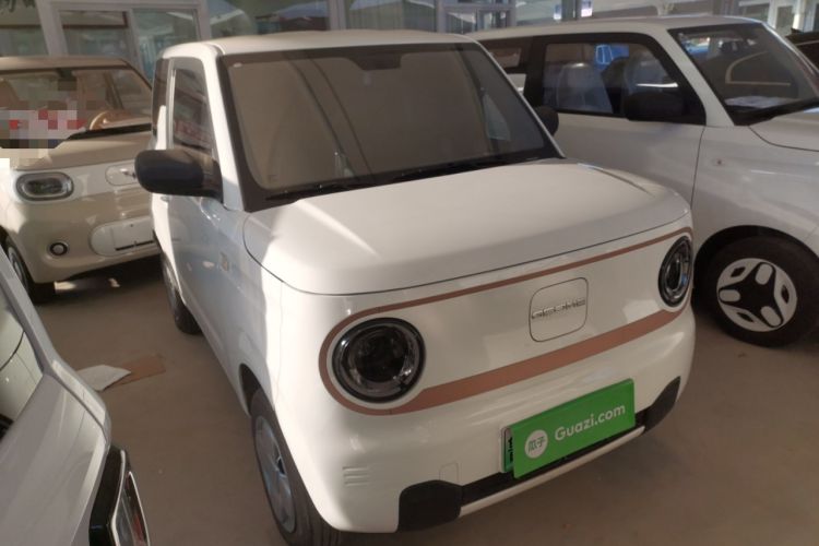 Used  Panda 2024 Panda Mini 200km Endurance Bear
