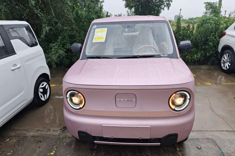 Used  Panda 2024 Panda Mini 200km Endurance Bear
