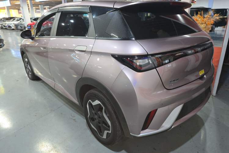 Used BYD Dolphin 2021 405 km Free Version
