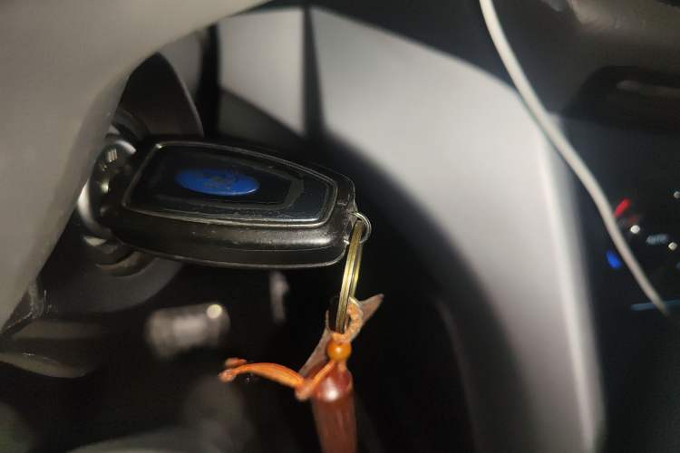 Used Ford Kuga 2015 1.5L GTDi Two-Wheel-Drive Comfort Model
