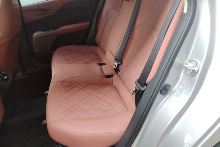 Used  A05 2024 Truly Delicious Version 145 Beyond-Excellent Type
