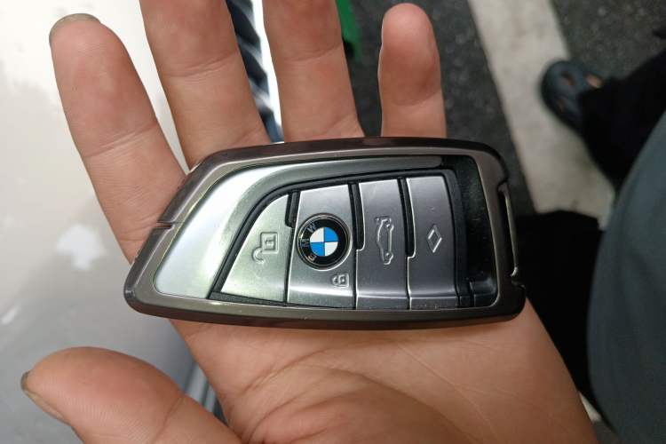 Used BMW 5 Series New Energy 2019 530Le Luxury Package
