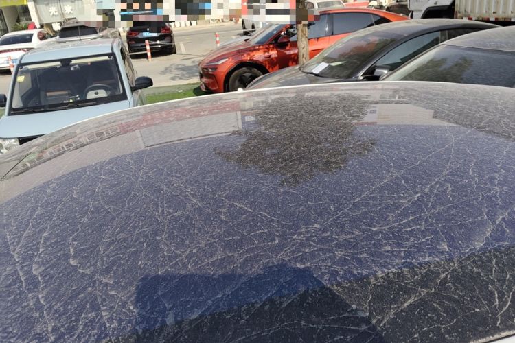 Used  LS6 2023 Max Standard Edition
