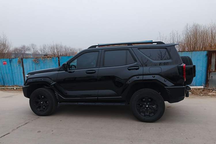 Used Tank 400 2025 2.0T Gasoline Version
