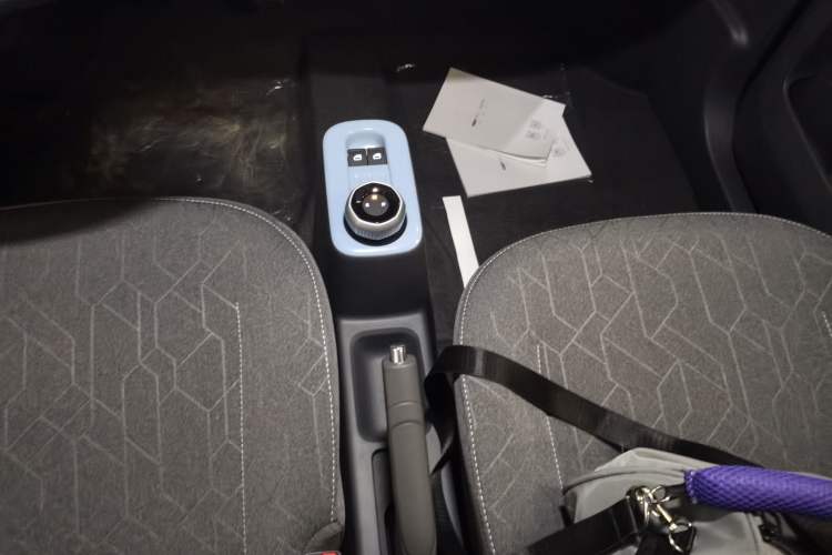 Used  Panda 2024 Panda Mini 200km Endurance Bear
