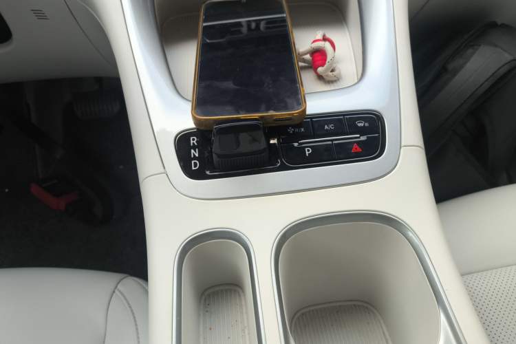 Used  Geome 2025 310km Dream Edition
