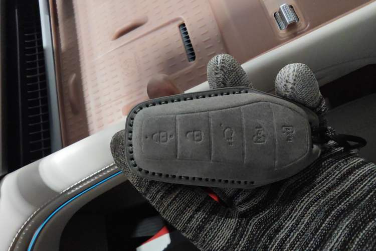 Used BYD Xia 2025 DM-i 1.5T 100km Supreme Edition
