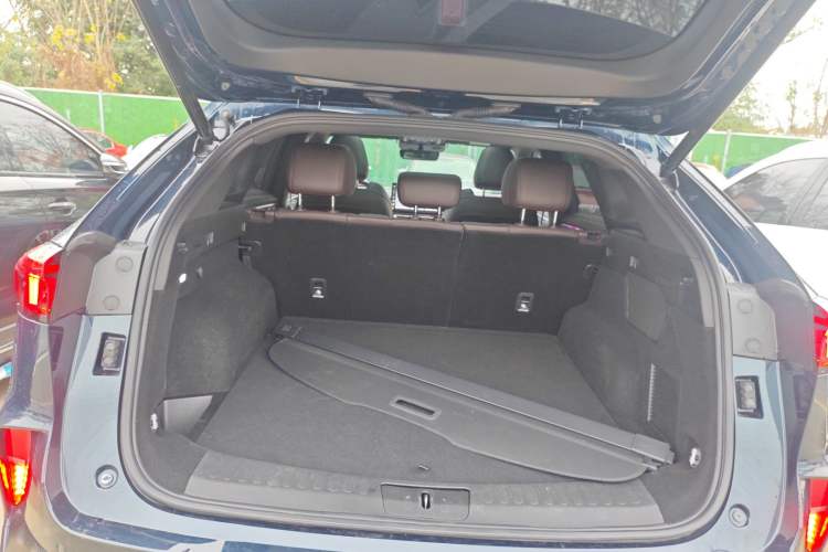 Used Wey Mocha 2021 2.0T Two-Wheel-Drive Ultra-Strong Version
