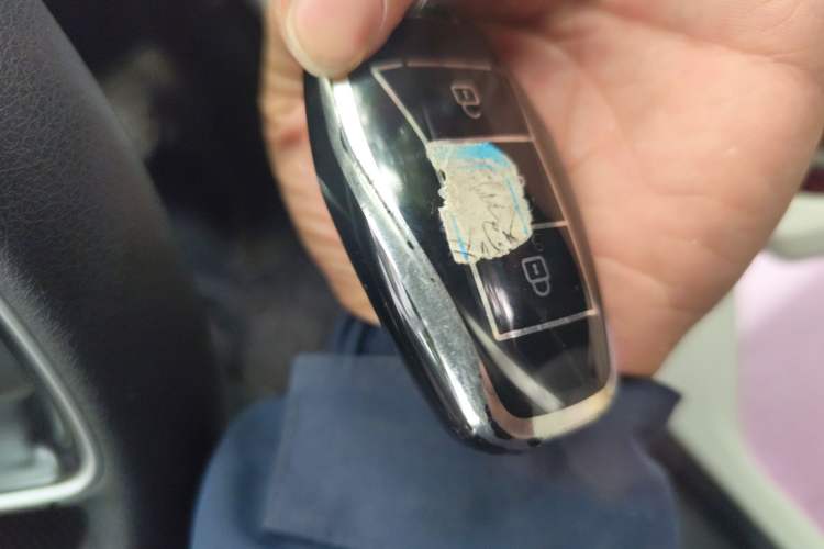 Used SOL E10X 2022 Flower Fairy Design Four-Leaf Clover
