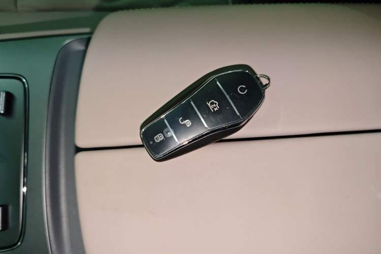 Used BYD Tang New Energy 2025 Intelligent Driving Version DM-i 115KM Prestige Edition
