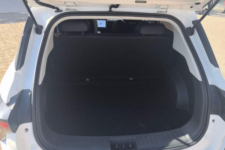 Used NETA V 2021 Standard Range Version