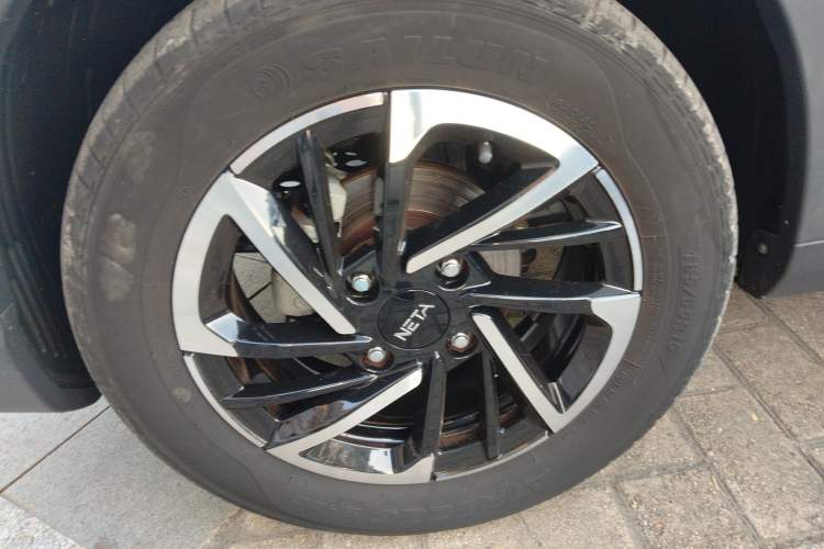 Used NETA V 2021 Long-Range Entertainment Edition Upgrade Model
