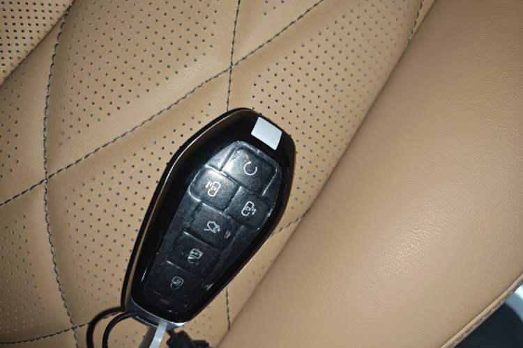 Used Denza D9 2025 DM-i Smart Drive 1020 Four-Wheel Drive Premium Model
