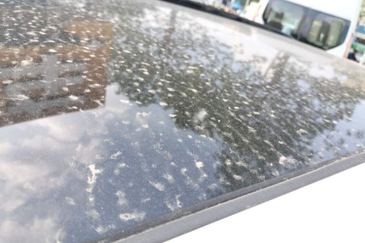 Used Changan CS75 PLUS 2022 1.5T Automatic Prestige Model
