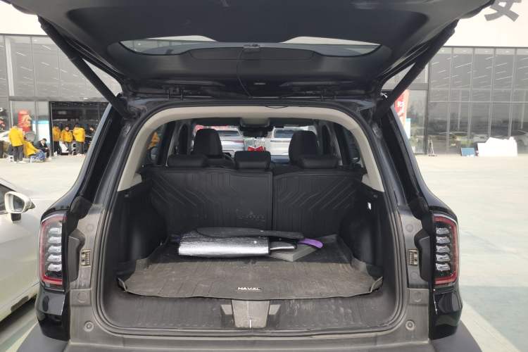 Used Haval DARGO 2024 2.0T DCT Chinese Rural Dog Edition
