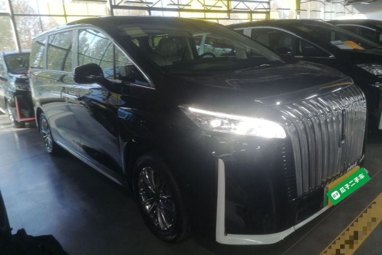 Used Wey Gaoshan 2023 Four-Wheel Drive Flagship Edition