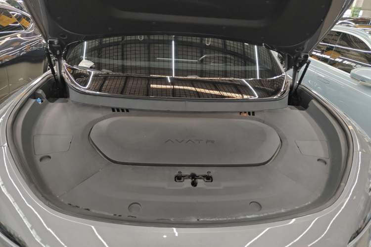 Used  07 2024 Max Extended-Range Edition
