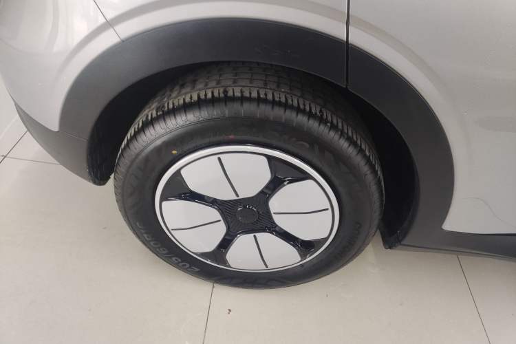 Used  Geome 2025 410 km Free Version