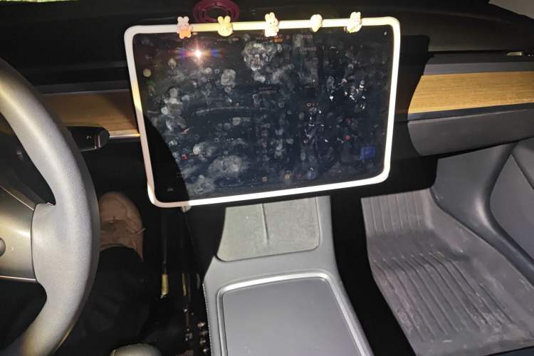 Used Tesla Model 3 2022 Rear-Wheel-Drive Version