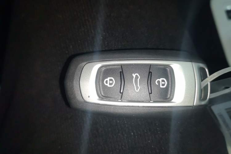 Used  Panda 2025 210 km – Yuanqi Bear
