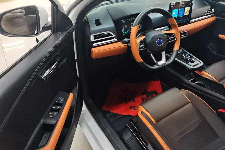 Used BYD e2 2021 Luxury Model
