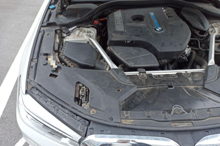 Used BMW 5 Series New Energy 2019 Updated Version 530Le Luxury Package