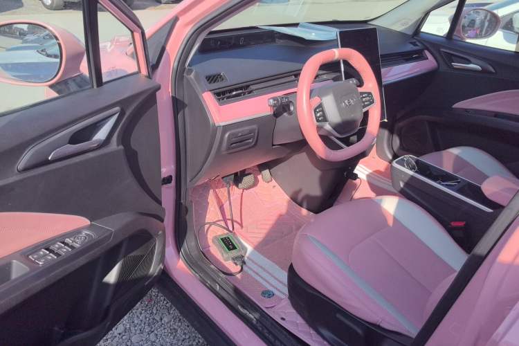 Used NETA V 2021 Witch Edition