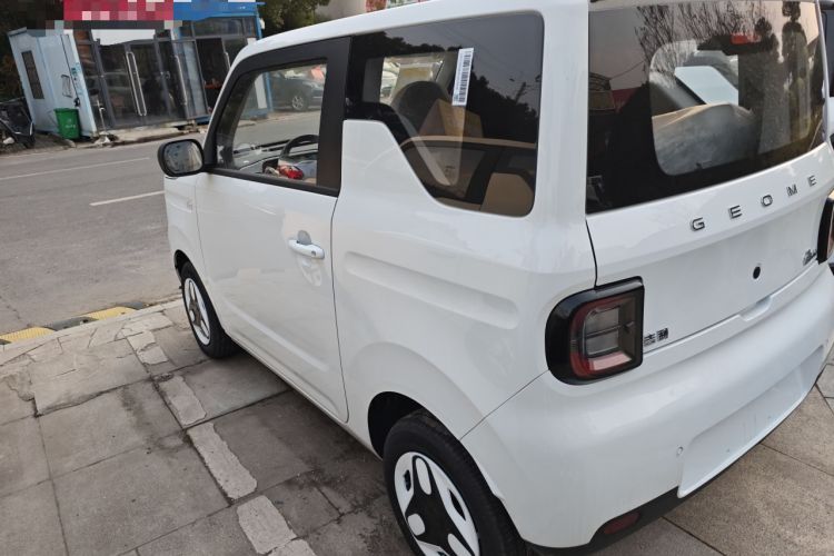 Used  Panda 2025 210 km – Yuanqi Bear
