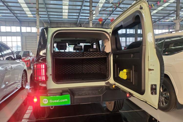 Used Tank 300 2021 City Edition 2.0T—Truly Stylish