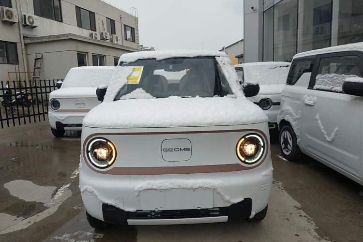 Used  Panda 2024 Panda Mini 200km Endurance Bear
