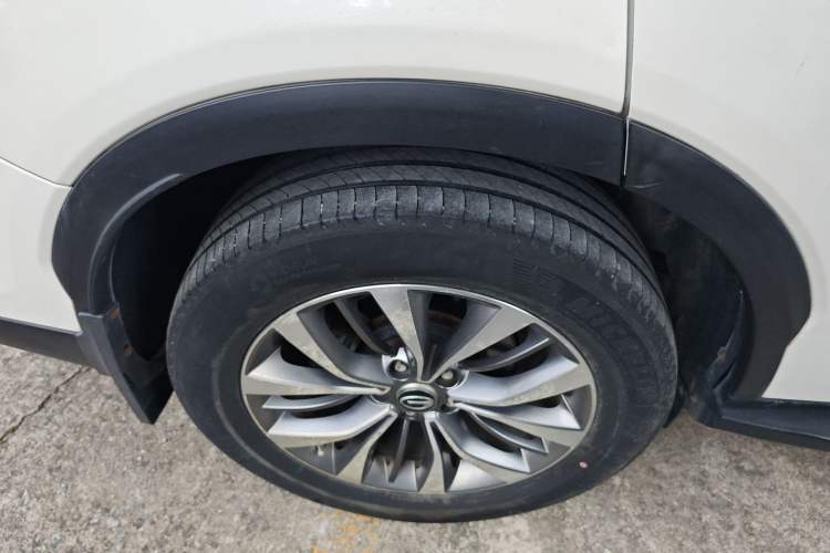 Used GAC Trumpchi GS8 2017 320T Two-Wheel Drive Luxury Smart Connectivity Version (7 Seats)
