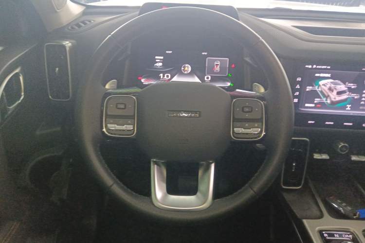 Used Haval DARGO 2024 2.0T DCT Chinese Rural Dog Edition
