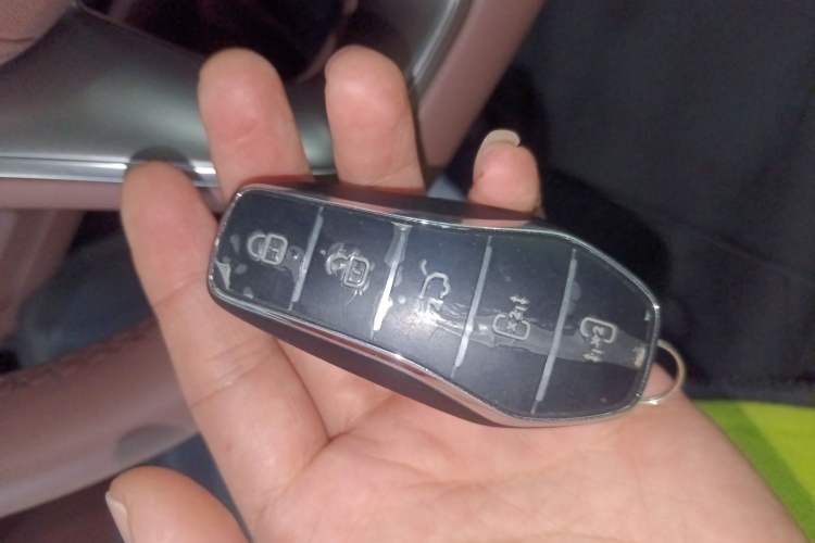 Used BYD Xia 2025 DM-i 1.5T 180km Excellence Model
