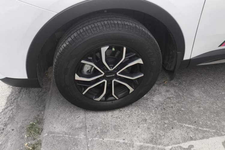 Used Haval H6 2023 National Trend Edition 1.5T Automatic Urban Version
