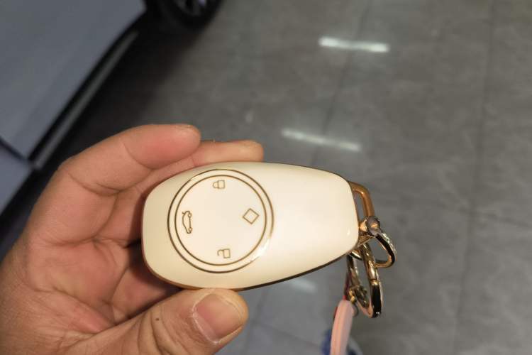 Used Leapmotor C11 2021 Revised Version Luxury Edition