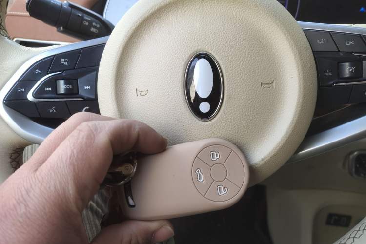 Used ORA Good Cat 2022 400km Standard Range Luxury Version Lithium Iron Phosphate