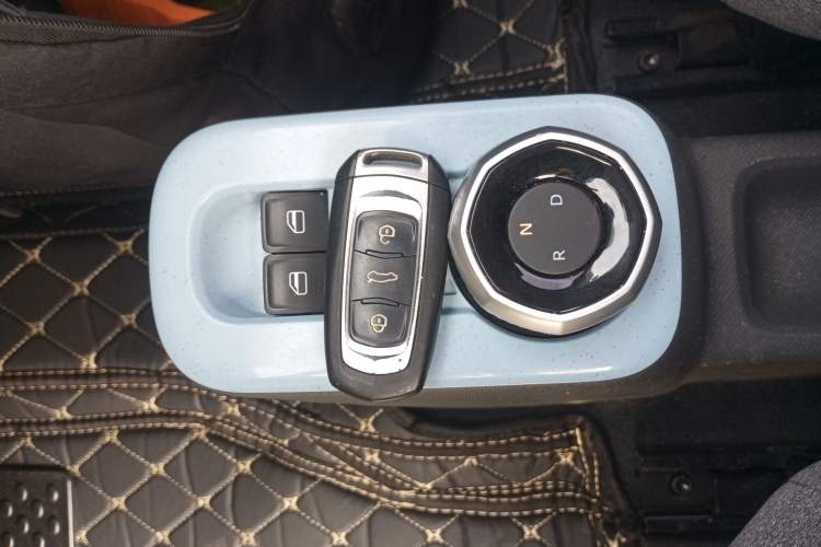 Used  Panda 2024 Panda Mini 200km Endurance Bear
