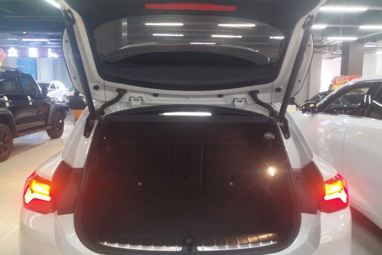 Used BMW X2 2020 sDrive25i Leading Model M Sport Package
