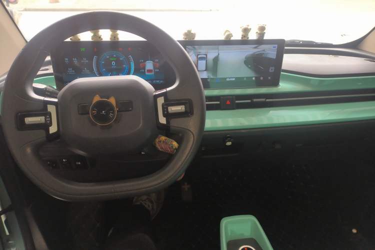 Used BAW Yuanbao 2022 Bao Meng Edition
