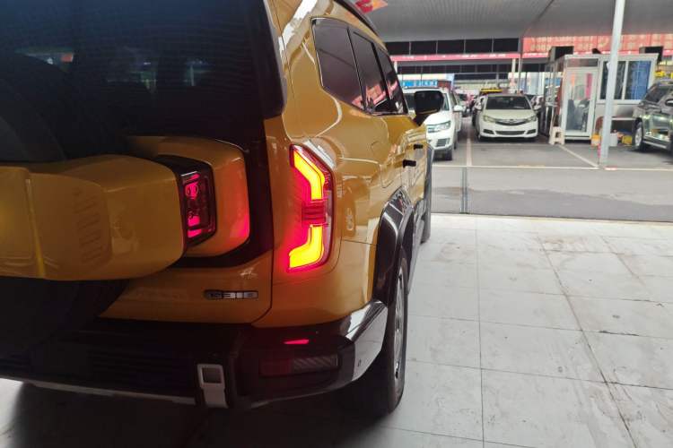 Used  G318 2025 Worry-Free Adventure Edition Four-Wheel Drive Secret Realm Version