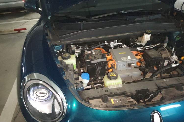 Used ORA Good Cat 2023 401 km Standard Range Comfort Version Lithium Iron Phosphate
