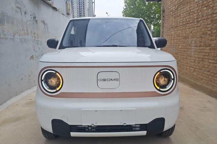 Used  Panda 2024 Panda Mini 200km Endurance Bear
