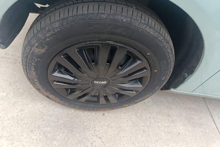 Used  Panda 2023 Panda Mini 200km Endurance Bear
