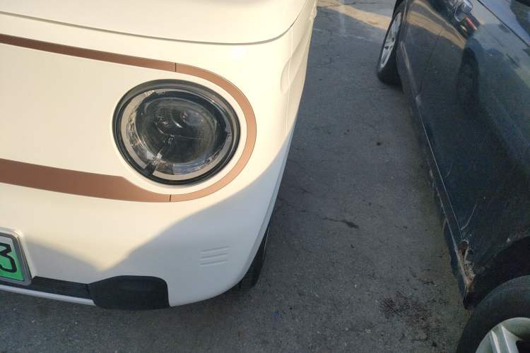 Used  Panda 2024 Panda Mini 200km Longteng PRO Edition
